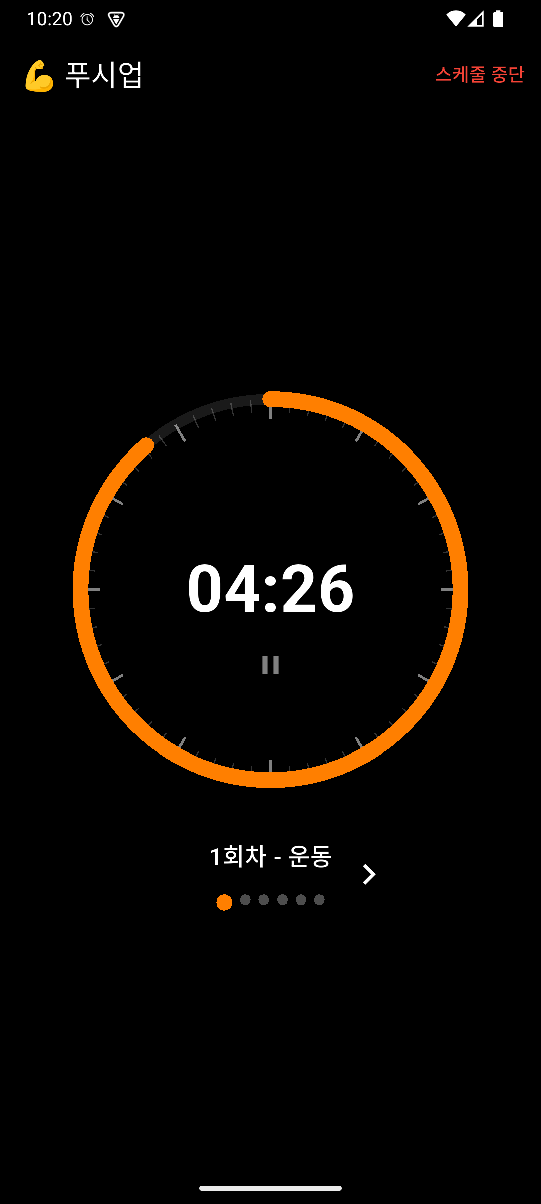 Schedule Execution Screen